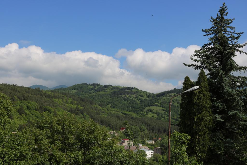 הוילה Dilijan Garden House מראה חיצוני תמונה